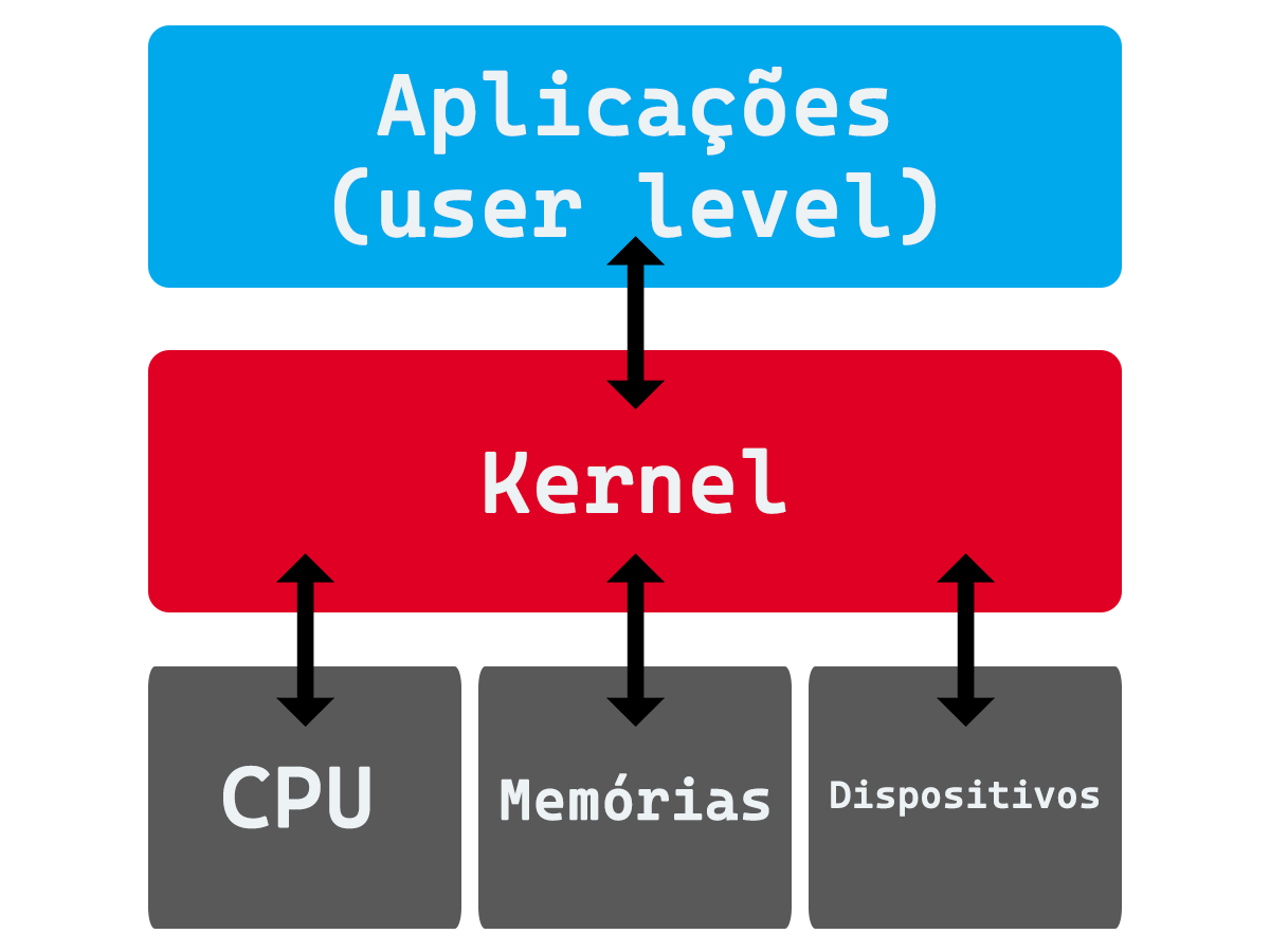 Figura 1